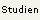 Studien zum Thema
